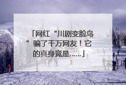 网红“川剧变脸鸟”骗了千万网友！它的真身竟是……