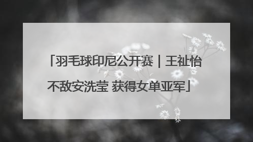 羽毛球印尼公开赛｜王祉怡不敌安洗莹 获得女单亚军