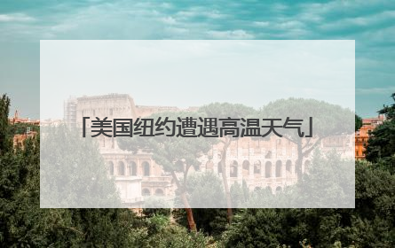 美国纽约遭遇高温天气