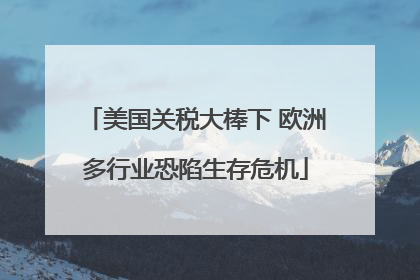 美国关税大棒下 欧洲多行业恐陷生存危机
