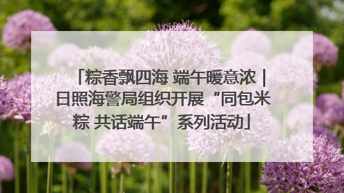 粽香飘四海 端午暖意浓｜日照海警局组织开展“同包米粽 共话端午”系列活动