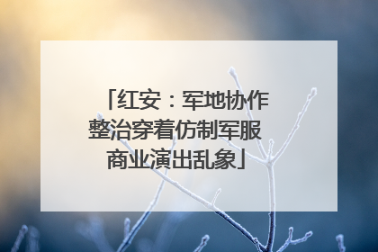 红安：军地协作整治穿着仿制军服商业演出乱象