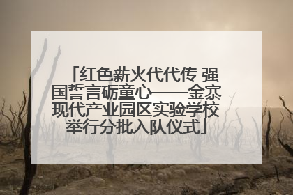 红色薪火代代传 强国誓言砺童心——金寨现代产业园区实验学校举行分批入队仪式