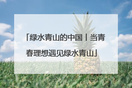 绿水青山的中国丨当青春理想遇见绿水青山