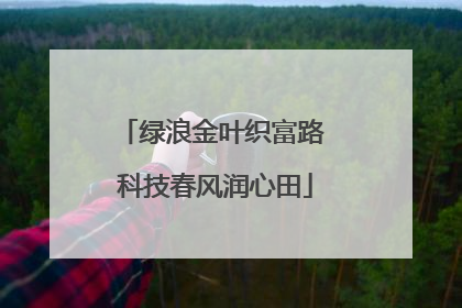 绿浪金叶织富路 科技春风润心田