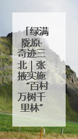 绿满陇原·奇迹三北｜张掖实施“百村万树千里林”工程