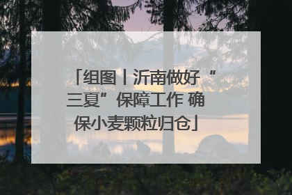 组图丨沂南做好“三夏”保障工作 确保小麦颗粒归仓
