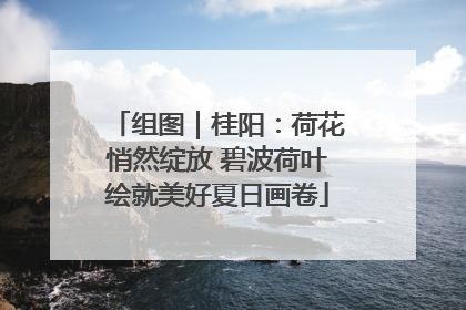 组图｜桂阳：荷花悄然绽放 碧波荷叶绘就美好夏日画卷