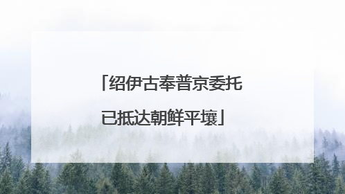 绍伊古奉普京委托已抵达朝鲜平壤