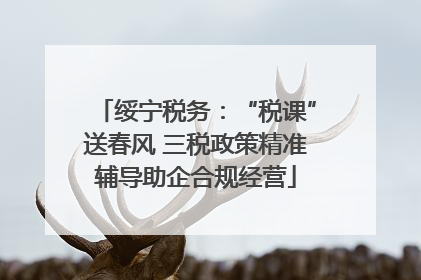 绥宁税务：“税课”送春风 三税政策精准辅导助企合规经营