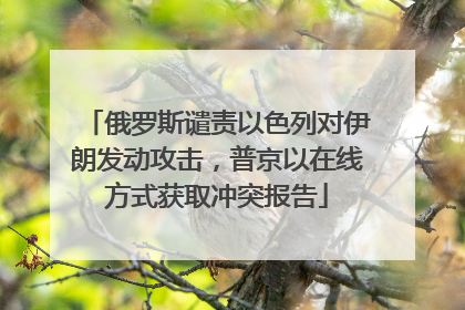 俄罗斯谴责以色列对伊朗发动攻击，普京以在线方式获取冲突报告