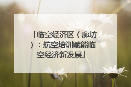临空经济区（廊坊）：航空培训赋能临空经济新发展