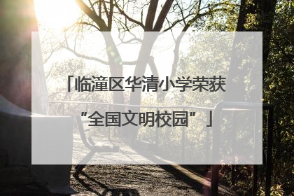 临潼区华清小学荣获“全国文明校园”