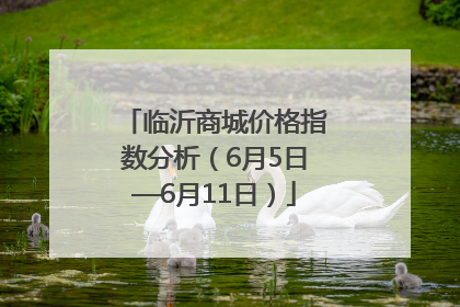 临沂商城价格指数分析（6月5日—6月11日）