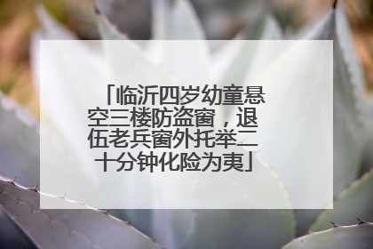 临沂四岁幼童悬空三楼防盗窗，退伍老兵窗外托举二十分钟化险为夷