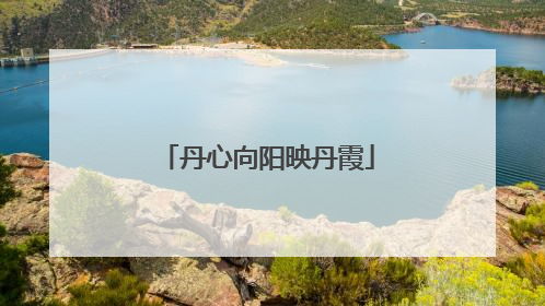 丹心向阳映丹霞