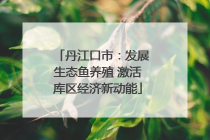 丹江口市：发展生态鱼养殖 激活库区经济新动能
