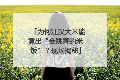 为何江汉大米能煮出“会跳舞的米饭”？现场揭秘