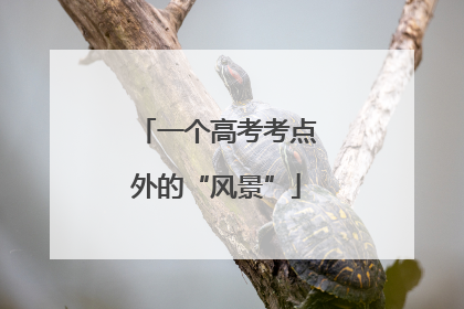 一个高考考点外的“风景”