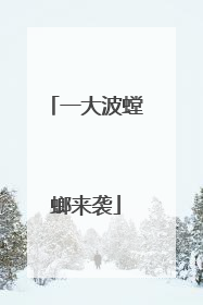 一大波螳螂来袭