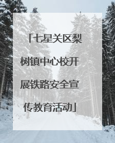 七星关区梨树镇中心校开展铁路安全宣传教育活动
