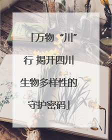 万物“川”行 揭开四川生物多样性的守护密码