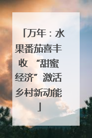 万年：水果番茄喜丰收 “甜蜜经济”激活乡村新动能