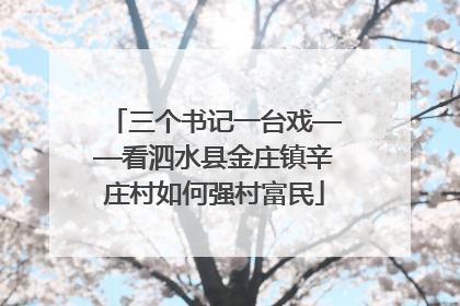 三个书记一台戏——看泗水县金庄镇辛庄村如何强村富民
