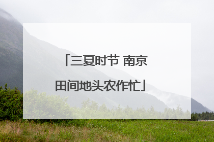 三夏时节 南京田间地头农作忙