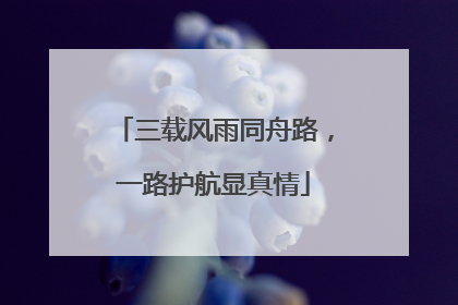 三载风雨同舟路，一路护航显真情