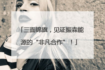 三面锦旗，见证振森能源的“非凡合作”！
