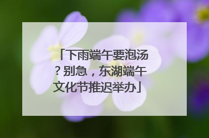 下雨端午要泡汤？别急，东湖端午文化节推迟举办