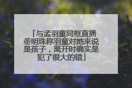 与孟羽童同框直播 董明珠称羽童对她来说是孩子，离开时确实是犯了很大的错