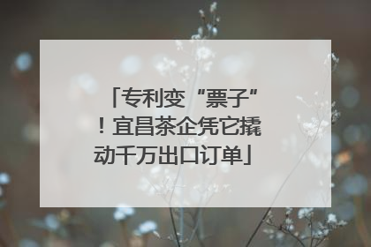 专利变“票子”！宜昌茶企凭它撬动千万出口订单