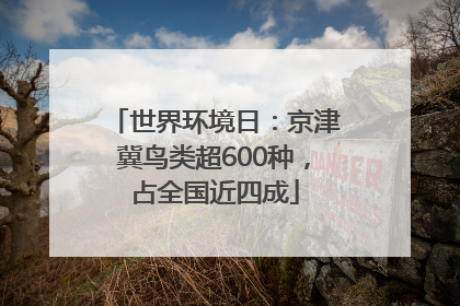 世界环境日：京津冀鸟类超600种，占全国近四成