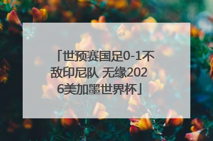 世预赛国足0-1不敌印尼队 无缘2026美加墨世界杯