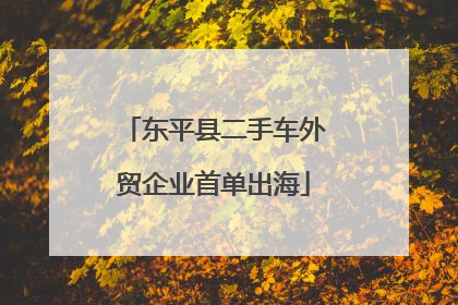 东平县二手车外贸企业首单出海