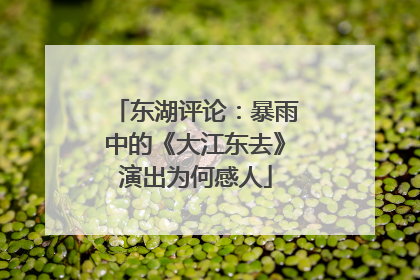 东湖评论：暴雨中的《大江东去》演出为何感人