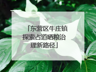 东营区牛庄镇探索占道晒粮治理新路径