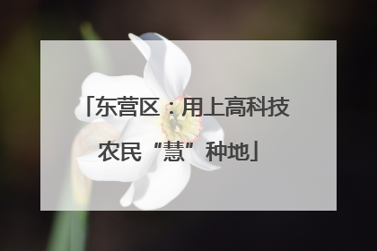 东营区：用上高科技 农民“慧”种地