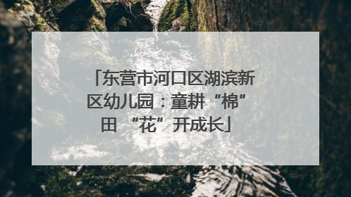 东营市河口区湖滨新区幼儿园：童耕“棉”田 “花”开成长