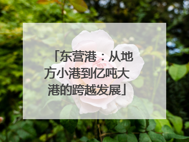 东营港：从地方小港到亿吨大港的跨越发展