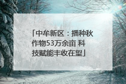 中牟新区：播种秋作物53万余亩 科技赋能丰收在望