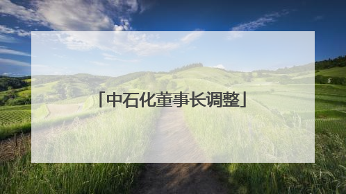 中石化董事长调整