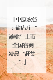 中原农谷：盐店庄“滩桃”上市 全国客商凌晨“赶集”