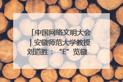中国网络文明大会｜安徽师范大学教授刘道胜：“E”览徽风，构筑中华民族共有精神家园