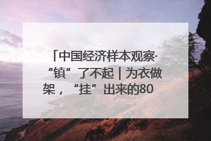 中国经济样本观察·“镇”了不起｜为衣做架，“挂”出来的80亿元“衣架产业”