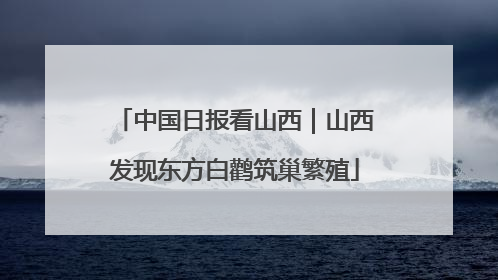 中国日报看山西｜山西发现东方白鹳筑巢繁殖