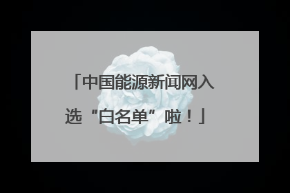 中国能源新闻网入选“白名单”啦！
