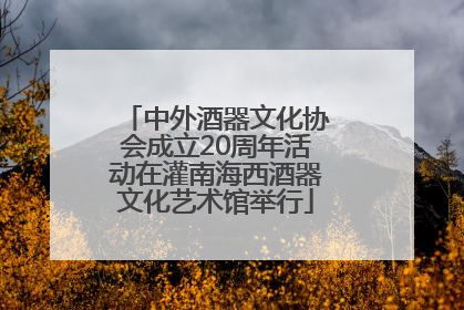 中外酒器文化协会成立20周年活动在灌南海西酒器文化艺术馆举行